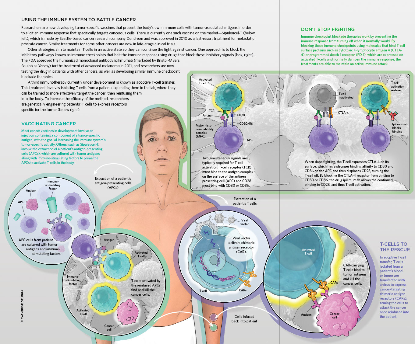 immunotherapy_full The Oral Cancer Foundation